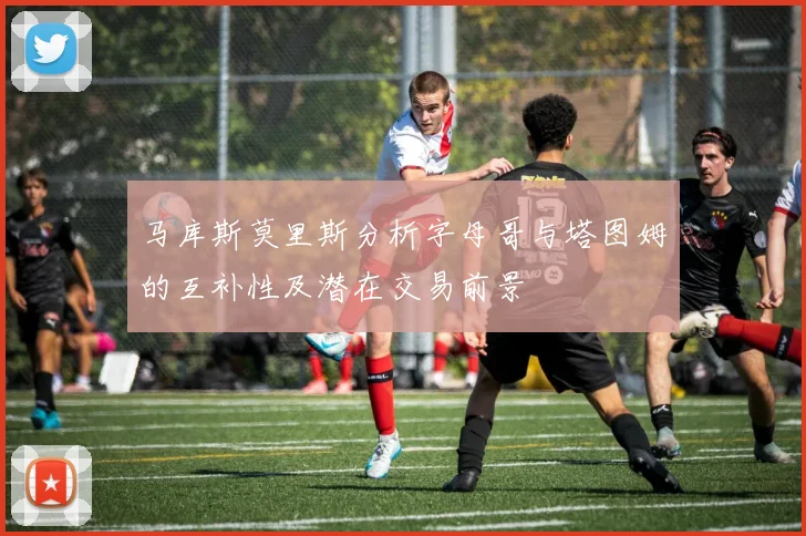 马库斯莫里斯分析字母哥与塔图姆的互补性及潜在交易前景