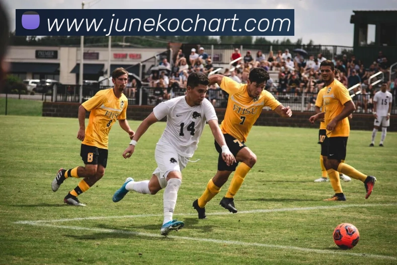 战术演练